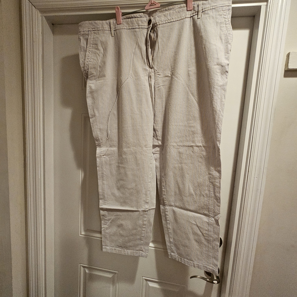 Talbots Relaxed Chino Women's Striped Pants - Cream and Gray 22W